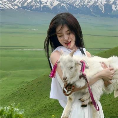 白鲸传奇:怒海之心